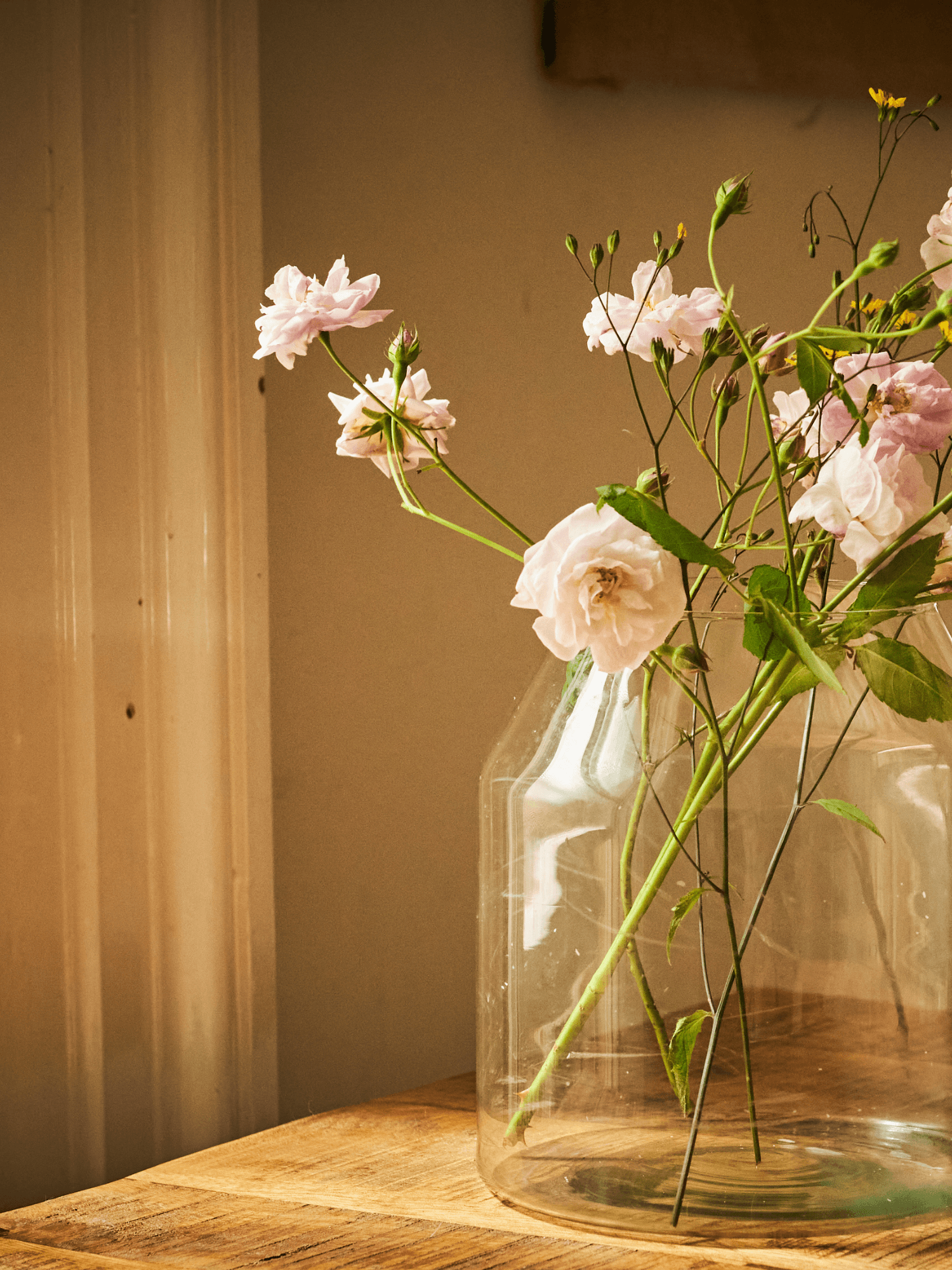 Stay in Fermoy Stay in Fermoy and find accommodation, b&b and camping facilities at Richmond House, Fermoy