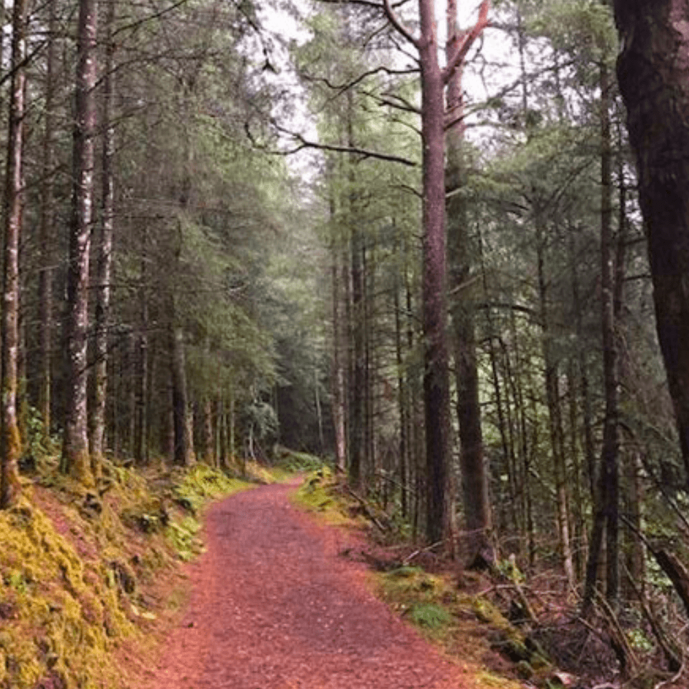 Glengarra woods Stay in Fermoy
